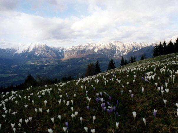 مبيت وإفطار Tambre dʼAlpago Da C I S A المظهر الخارجي الصورة