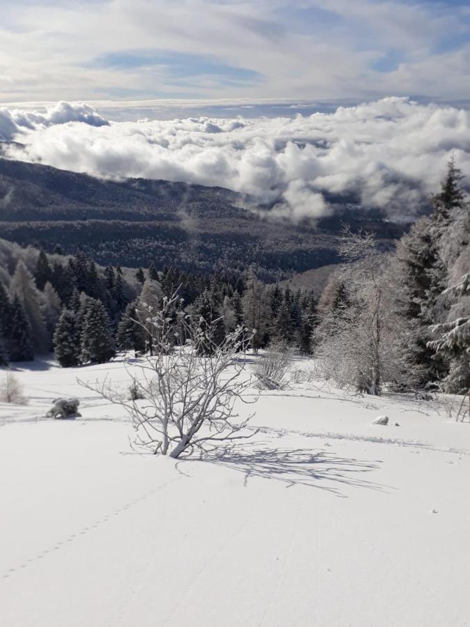 مبيت وإفطار Tambre dʼAlpago Da C I S A المظهر الخارجي الصورة