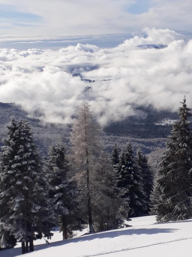 مبيت وإفطار Tambre dʼAlpago Da C I S A المظهر الخارجي الصورة