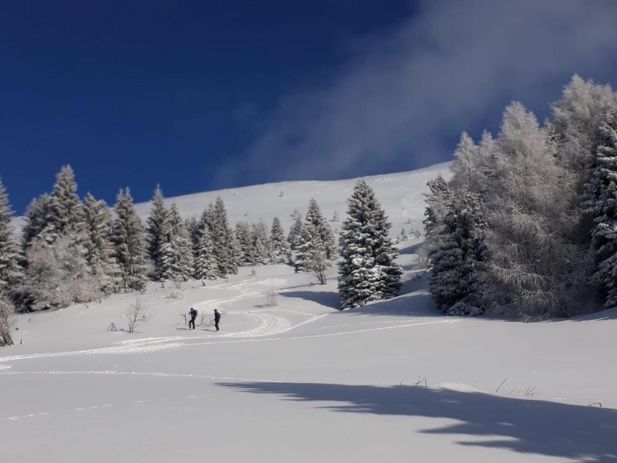 مبيت وإفطار Tambre dʼAlpago Da C I S A المظهر الخارجي الصورة