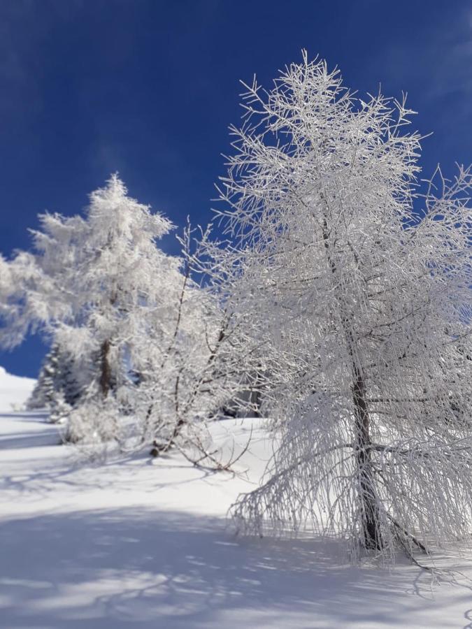 مبيت وإفطار Tambre dʼAlpago Da C I S A المظهر الخارجي الصورة